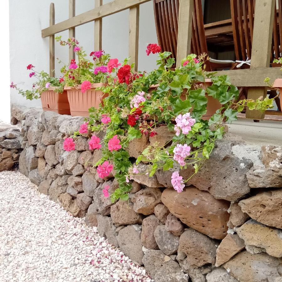 Casa Di Campagna Galtellì 外观 照片